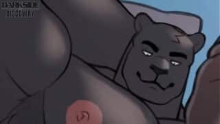 Gran pantera negra se da autoplacer