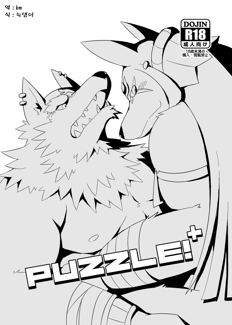 [AnotherSide (Various)] Puzzle! [kr] – Gay Yaoi