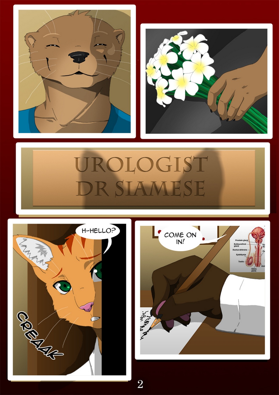 The Copulatory Tie 4 Doctors Office Furry Gay Porn3