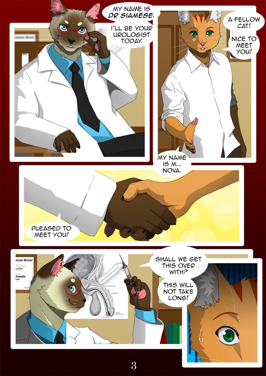 The Copulatory Tie 4 Doctors Office Furry Gay Porn4